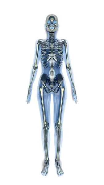 Людського тіла — стокове фото