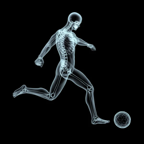 Sports xray Stock Photos, Royalty Free Sports xray Images Depositphotos