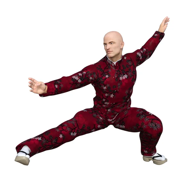 Kung-Fu-Meister — Stockfoto