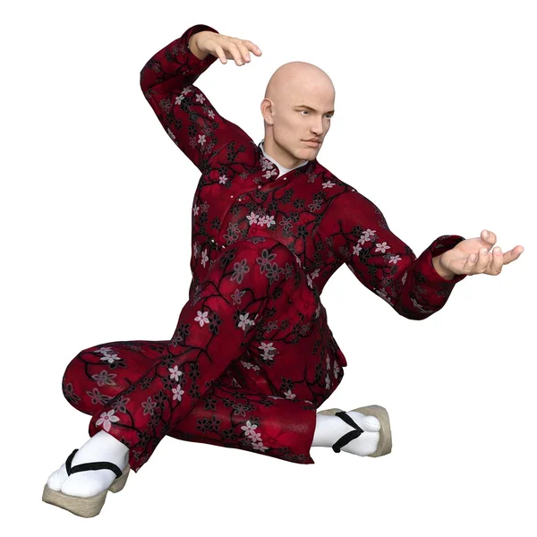 Kung-Fu-Meister — Stockfoto