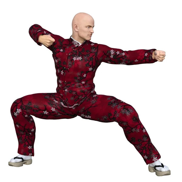 Kung-Fu-Meister — Stockfoto