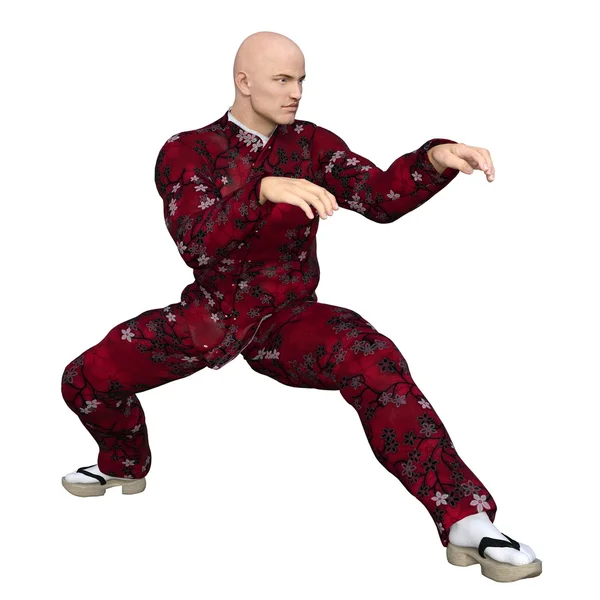 Kung-Fu-Meister — Stockfoto