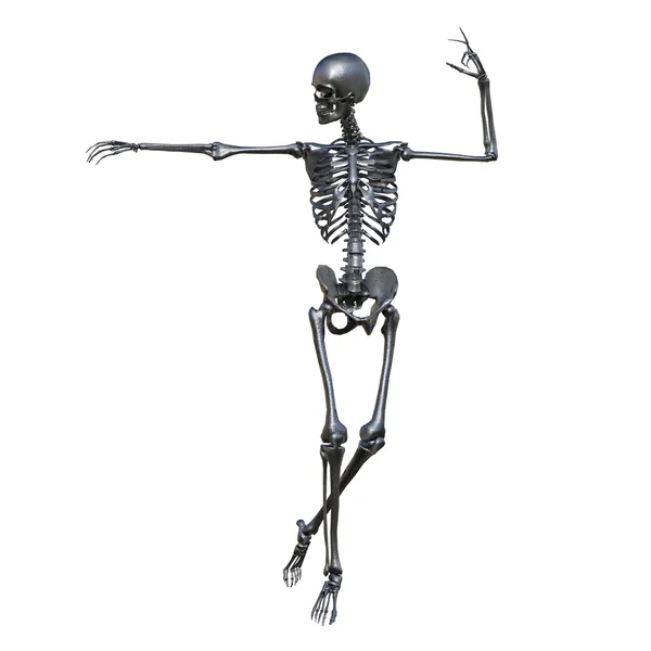 Skeleton — Stock Photo, Image