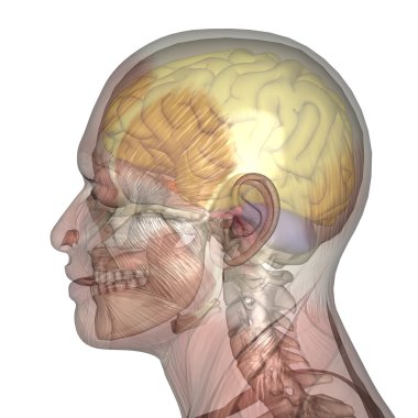 erkek yatıyordu figürü