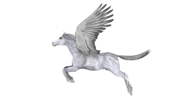 Pegaso — Foto Stock