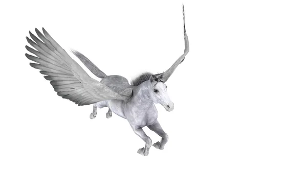 Pegasus — Stock Photo, Image