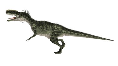 dinozor