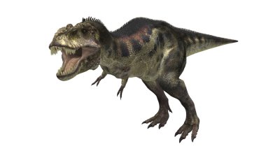 dinozor