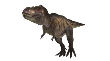 dinozor
