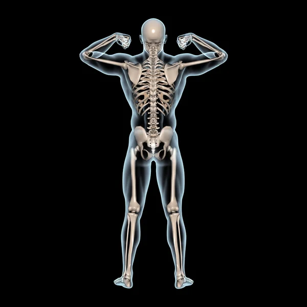 Human body — Stock Photo, Image