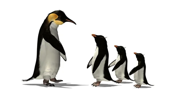 Penguin — Stock Photo, Image