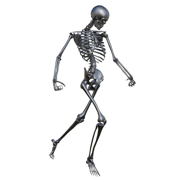 Skeleton — Stock Photo, Image