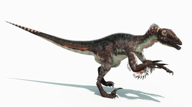 dinozor