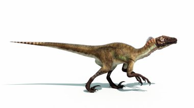 dinozor