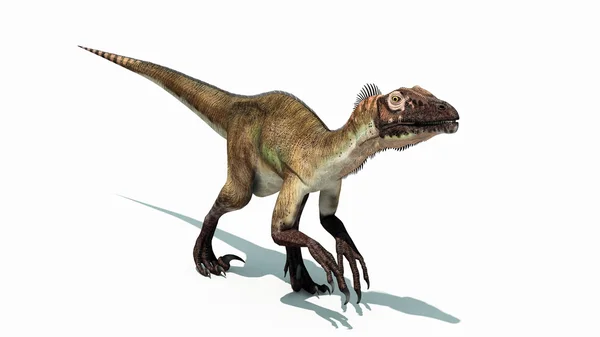 Dinosaurus — Stockfoto