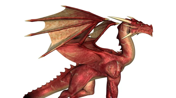 Dragon — Stock Photo, Image