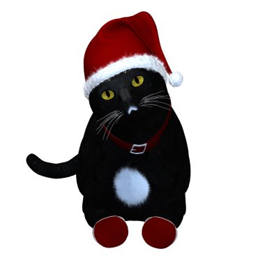 siyah kedi Noel Baba