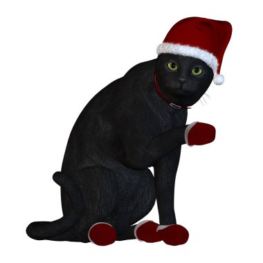 siyah kedi Noel Baba