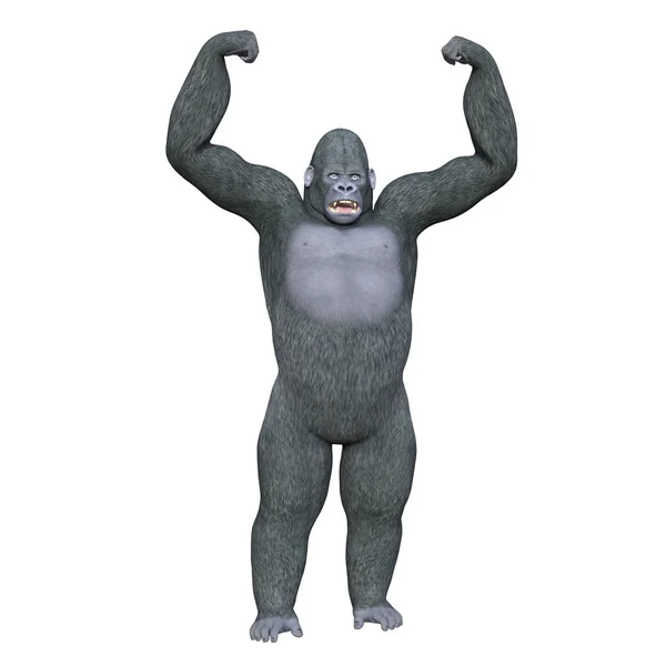 Gorilla — Foto Stock