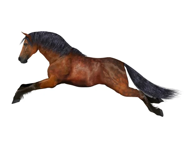 3D CG rendering of a horse — Stock Photo, Image