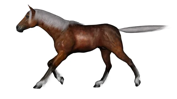 Rendering 3D CG di un cavallo — Foto Stock