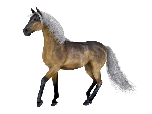 3D cg-rendering av en häst — Stockfoto