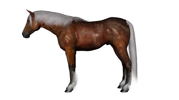 Rendering 3D CG di un cavallo — Foto Stock