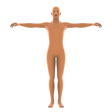 bir insan vücudunun 3d cg işleme