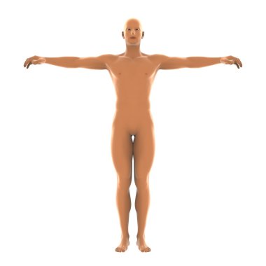 bir insan vücudunun 3d cg işleme