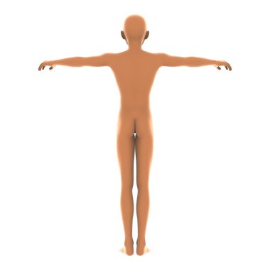 bir insan vücudunun 3d cg işleme