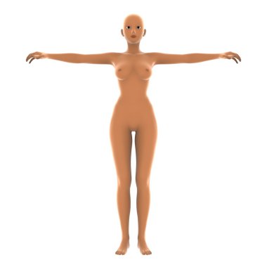 bir insan vücudunun 3d cg işleme