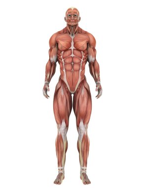 bir erkek yatıyordu şekil 3d cg render