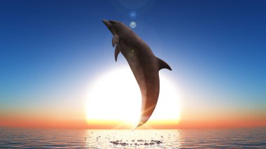 bir yunusun 3d cg işleme