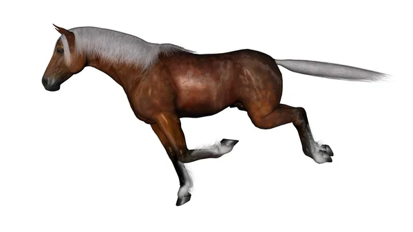 Rendering 3D CG di un cavallo — Foto Stock