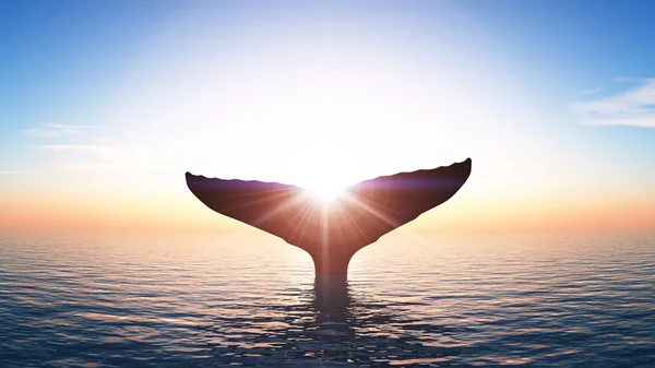 3D CG representación de una ballena — Foto de Stock