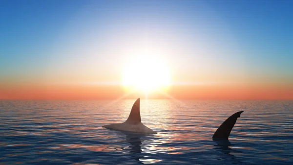 3D CG representación de un tiburón — Foto de Stock
