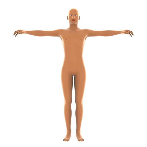 人間の体の 3 d cg のレンダリング — ストック写真