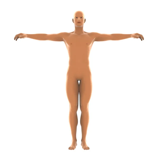 Representación 3D CG de un cuerpo humano — Foto de Stock