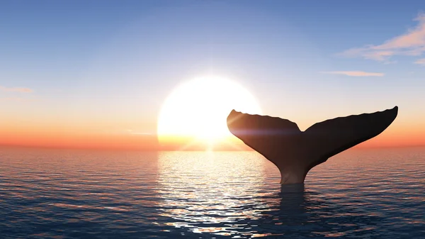 Vykreslování 3D cg velryba — Stock fotografie