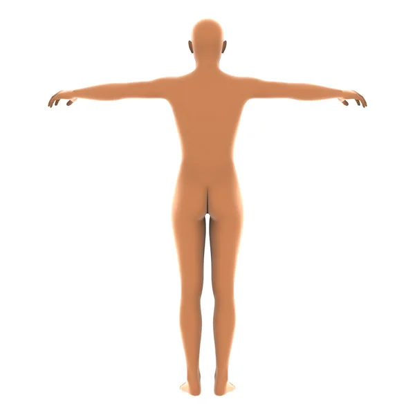 人間の体の 3 d cg のレンダリング — ストック写真
