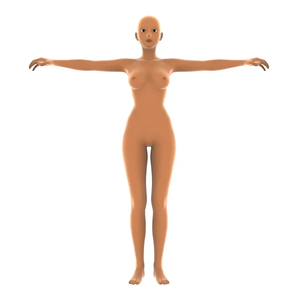 3D CG renderização de um corpo humano — Fotografia de Stock