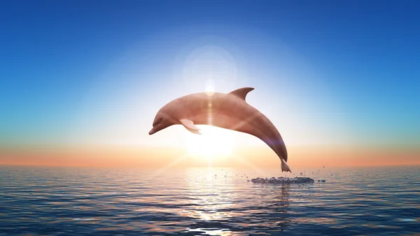 3d cg 渲染的海豚 — 图库照片