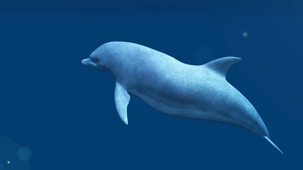 3D-s cg visszaadás-ból egy delfin — Stock Fotó