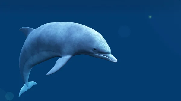 Representación 3D CG de un delfín — Foto de Stock