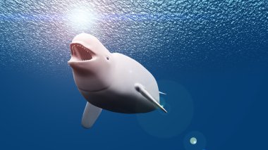 3d cg render bir beluga 