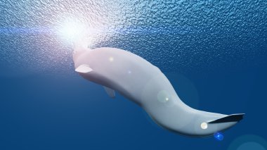 3d cg render bir beluga 