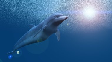 bir yunusun 3d cg işleme