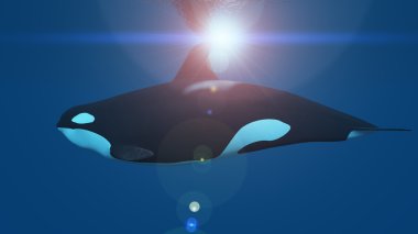 bir katil balina 3d cg render