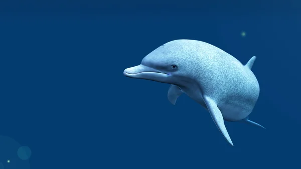 3D CG rendering of a dolphin — Stock Photo, Image