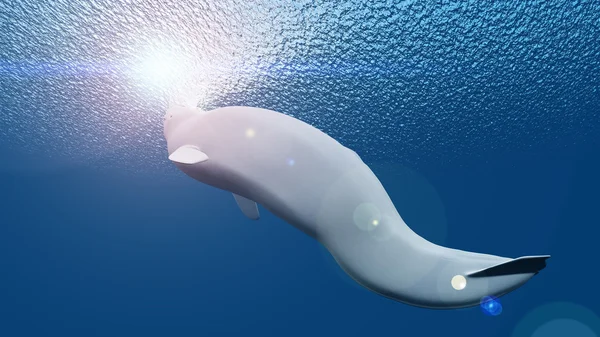 3d cg render bir beluga — Stok fotoğraf